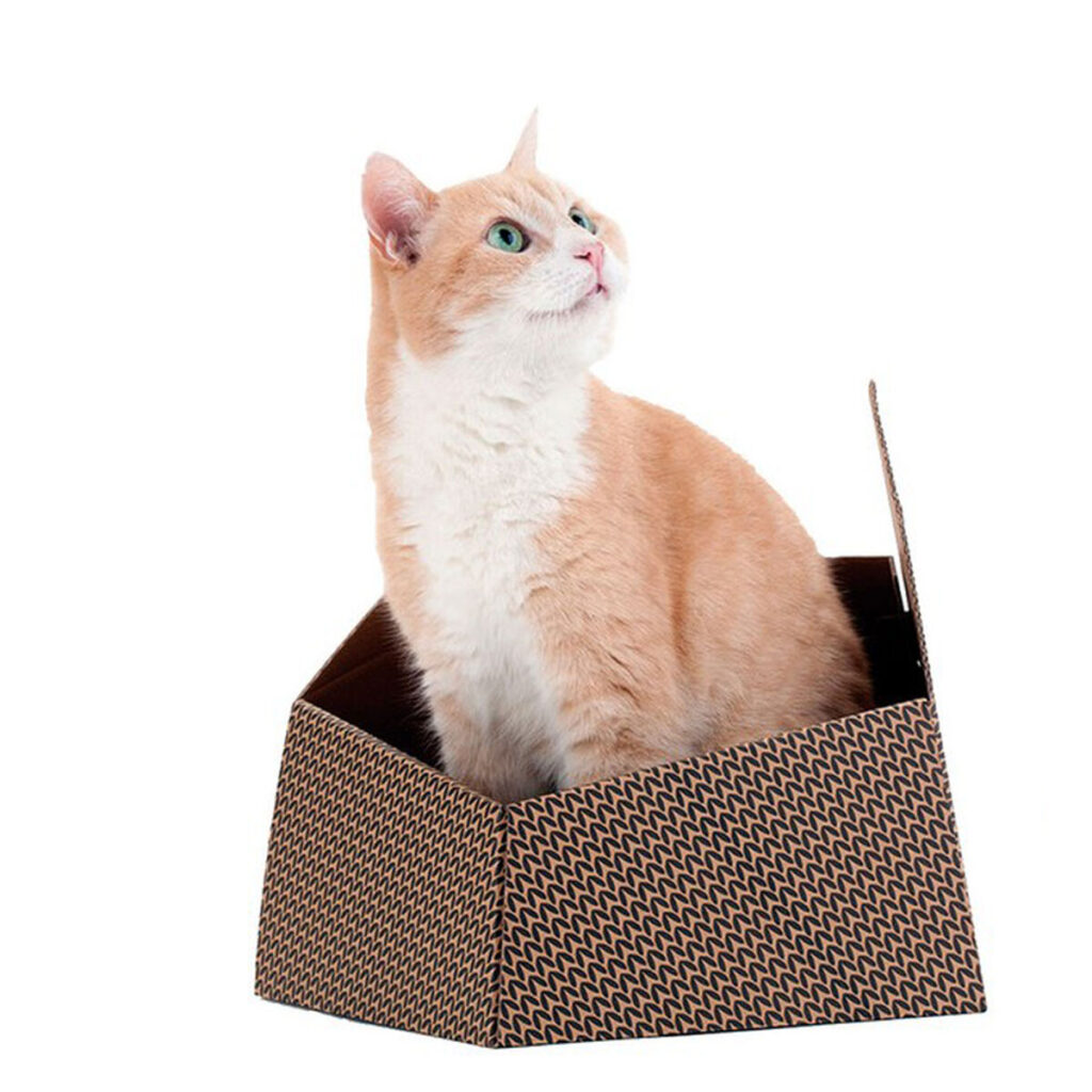 παιχνίδι για γάτες United Pets Kitty Καφέ Κουτί (30 x 30 x 32 cm)