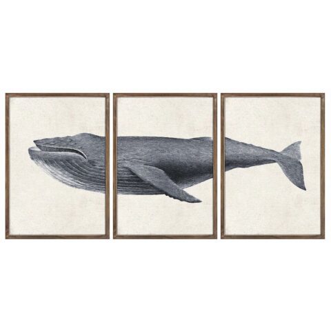 Σετ με 3 κάδρα DKD Home Decor 150 x 2 x 70 cm φάλαινα