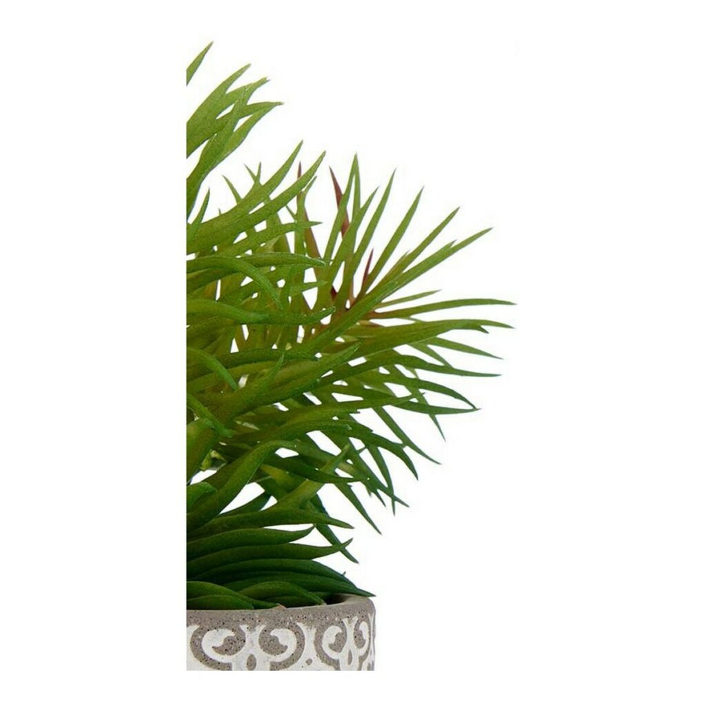 Διακοσμητικό Φυτό Γκρι Καφέ Πράσινο Πλαστική ύλη (12 x 22 x 12 cm)