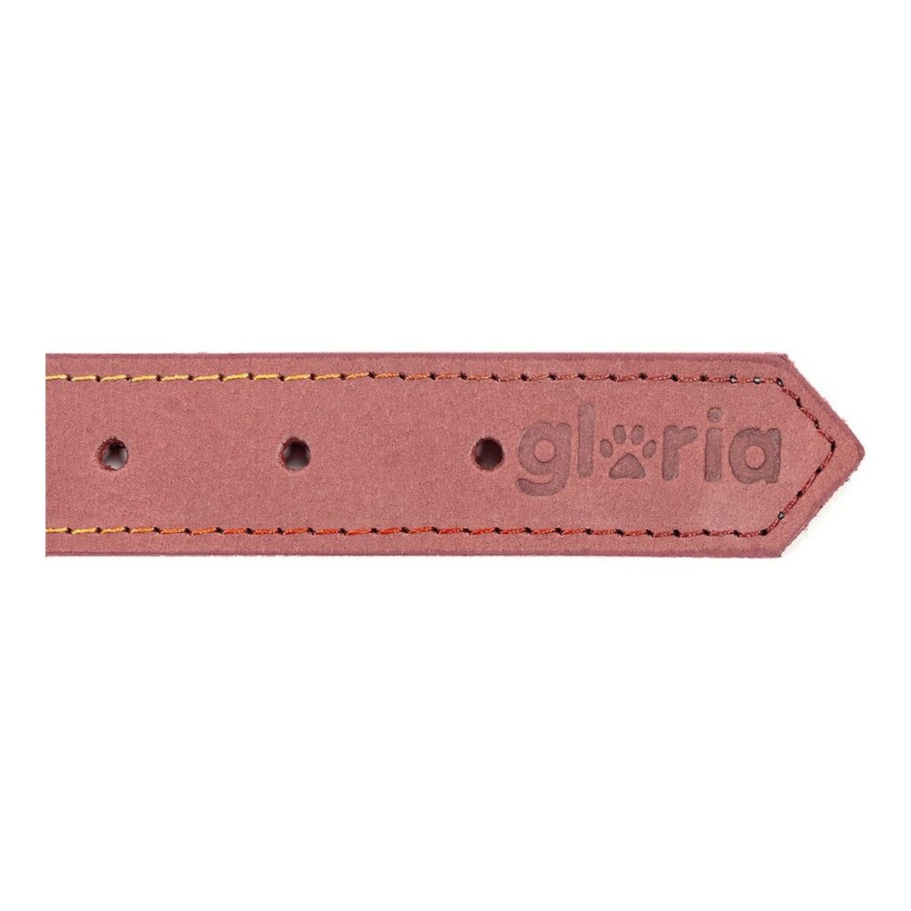 Κολλάρο Σκύλου Gloria Oasis Ροζ (70 x 3 cm)
