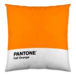 Κάλυψη μαξιλαριού Leaf Pantone Localization-B086JQ6G5Z Αναστρέψιμη (50 x 50 cm)