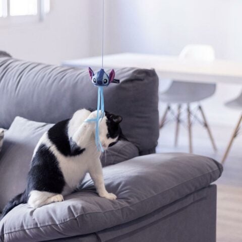 παιχνίδι για γάτες Stitch Μπλε PVC PET