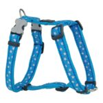 Λουρί Σκύλου Red Dingo Style Μπλε Αστέρι 25-39 cm
