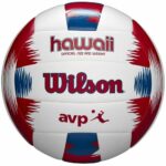 Mπάλα Βόλεϊ Frisbee Hawaii Wilson WTH80219KIT Λευκό (Ένα μέγεθος)