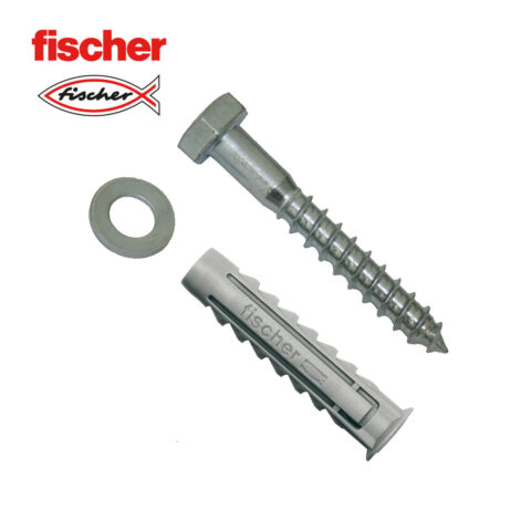 άγκυρες και βίδες Fischer 535512 άγκυρες και βίδες x2 (10 x 80 mm)