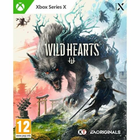 Βιντεοπαιχνίδι Xbox One Microsoft Wildhearts