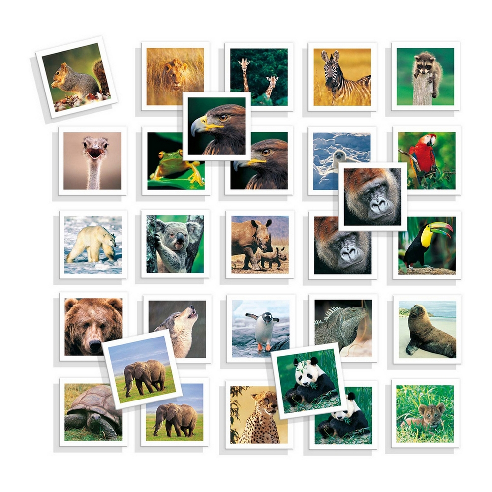 Εκπαιδευτικό παιχνίδι Diset Memo Photo Animales 54 Τεμάχια