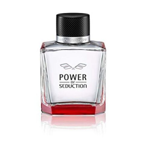 Ανδρικό Άρωμα Antonio Banderas EDT Power Of Seduction (100 ml)