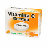 Συμπλήρωμα Διατροφής Vallesol Vitamina C Βιταμίνη C Γκουαράνα (24 uds)