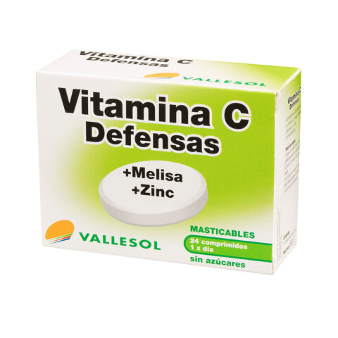 Συμπλήρωμα Διατροφής Vallesol Vitamina C Βιταμίνη C Μελίσα (24 uds)