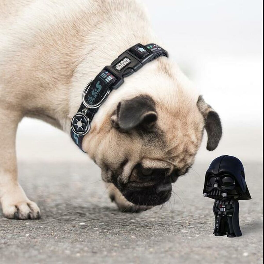 Κολλάρο Σκύλου Star Wars Μαύρο S/M