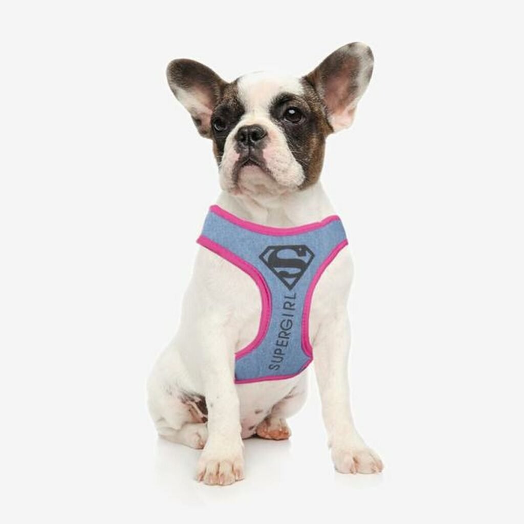 Λουρί Σκύλου Superman Ροζ XS/S