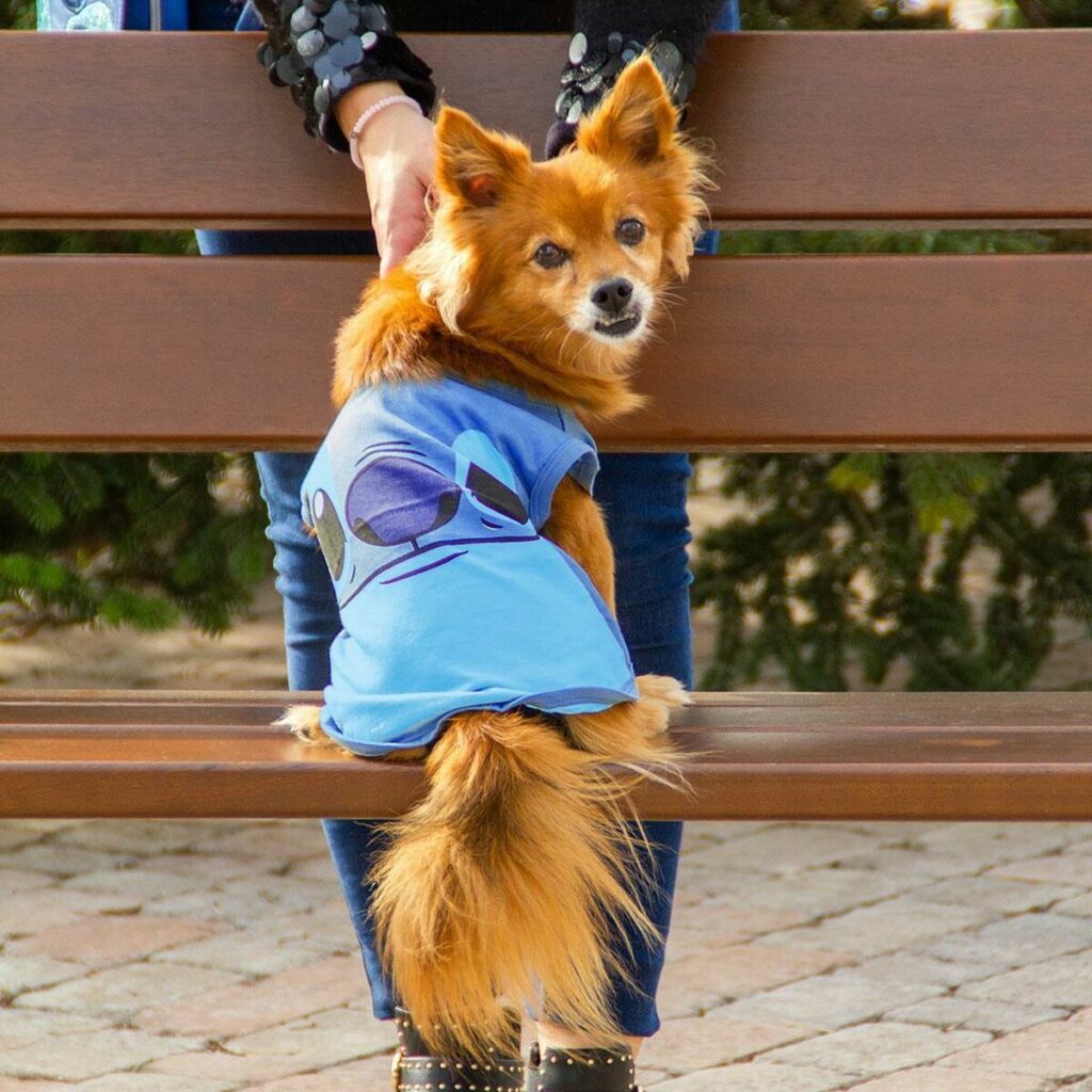 Μπλουζάκι Σκύλου Stitch