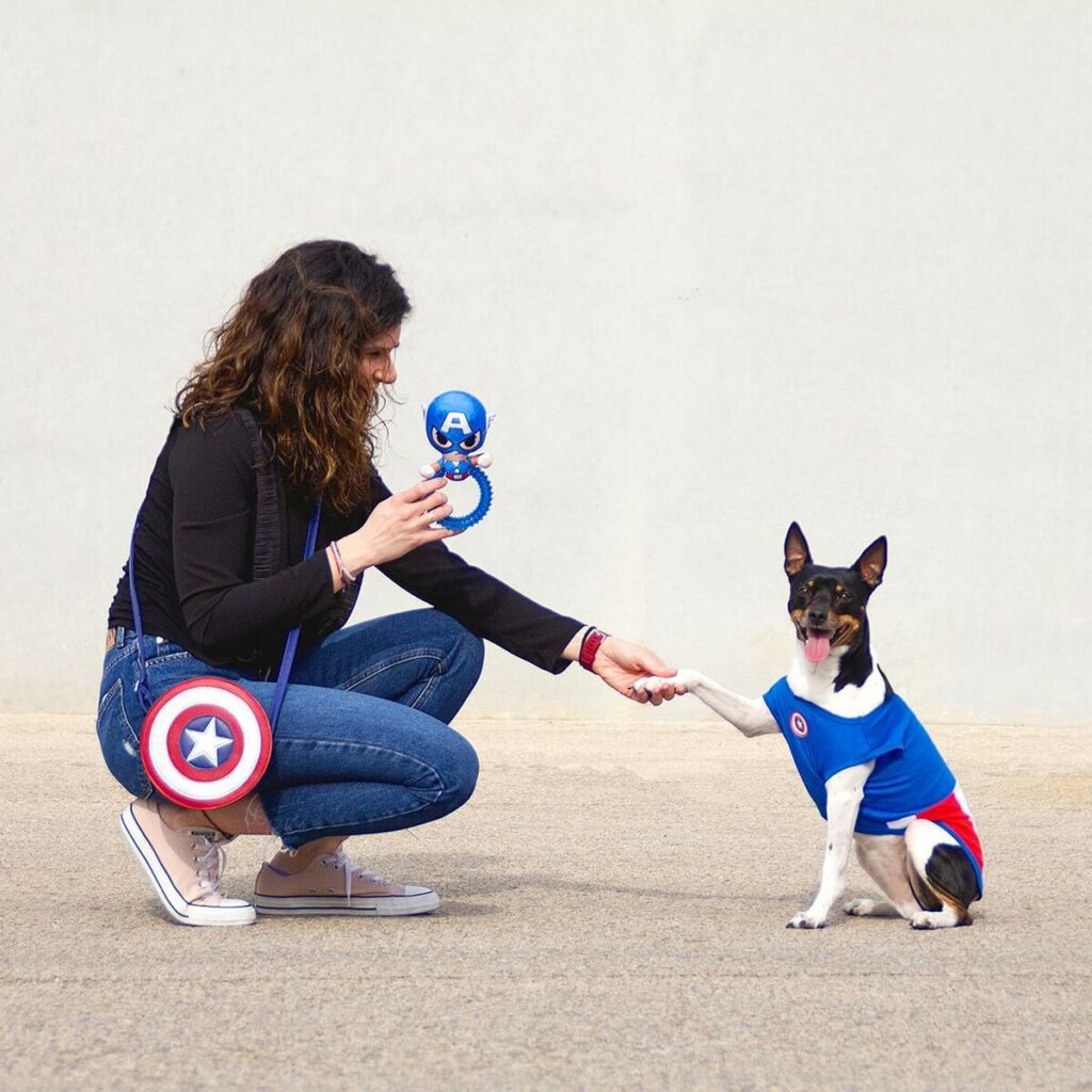 Μπλουζάκι Σκύλου The Avengers