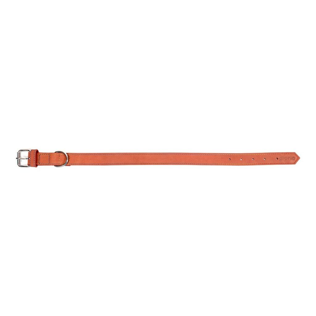 2 cm)