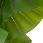 Διακοσμητικό Φυτό 75 x 60 x 155 cm Πράσινο Philodendron
