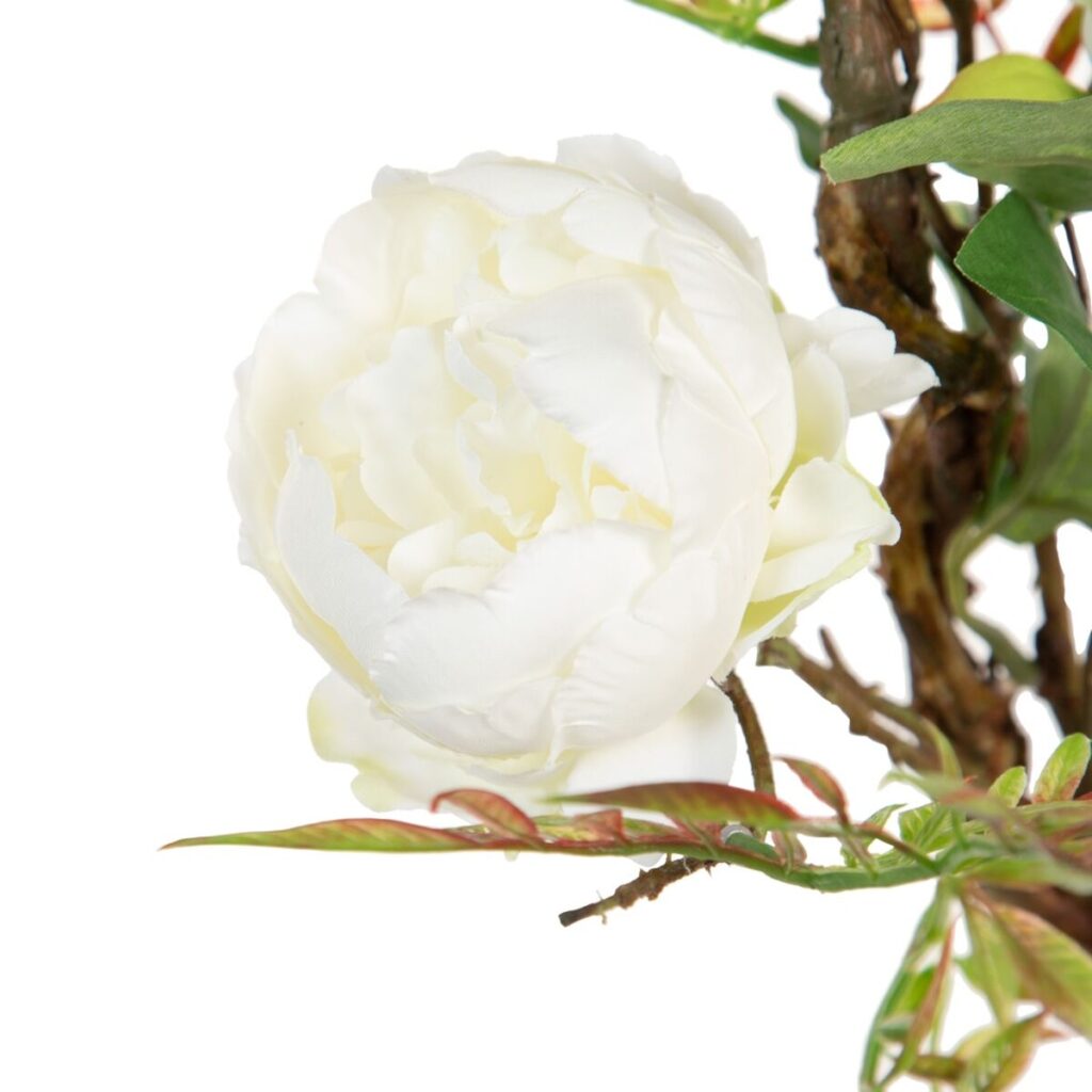 Decorative Flowers 100 x 27 x 20 cm Λευκό Παιωνία