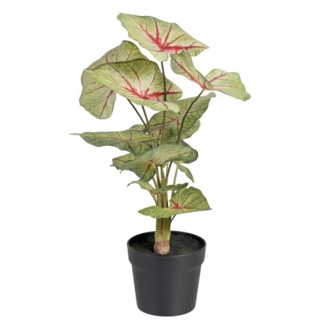 Διακοσμητικό Φυτό Κόκκινο Πράσινο PVC 40 x 35 x 55 cm