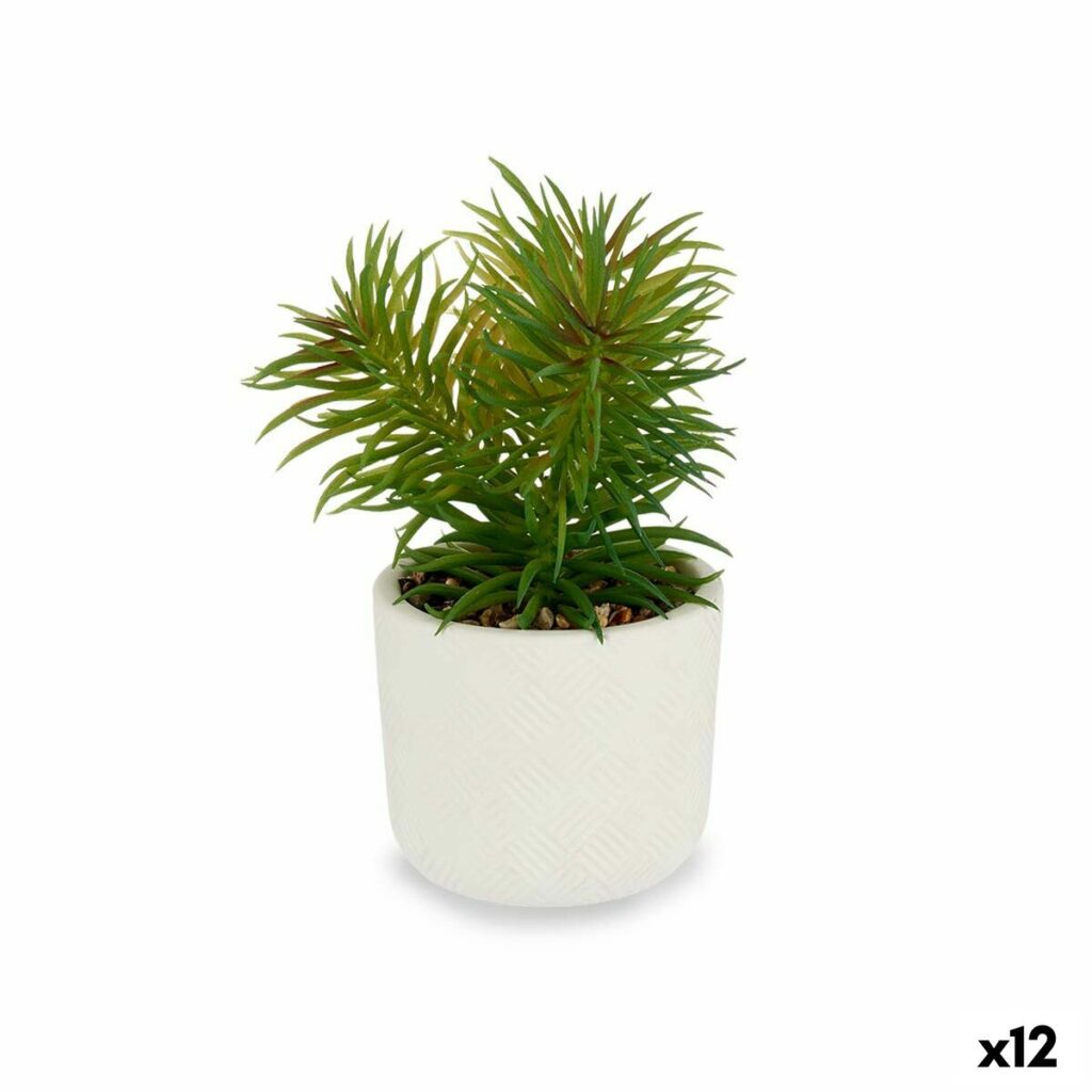 Διακοσμητικό Φυτό Λευκό Πράσινο (14 x 20 x 14 cm) (12 Μονάδες)