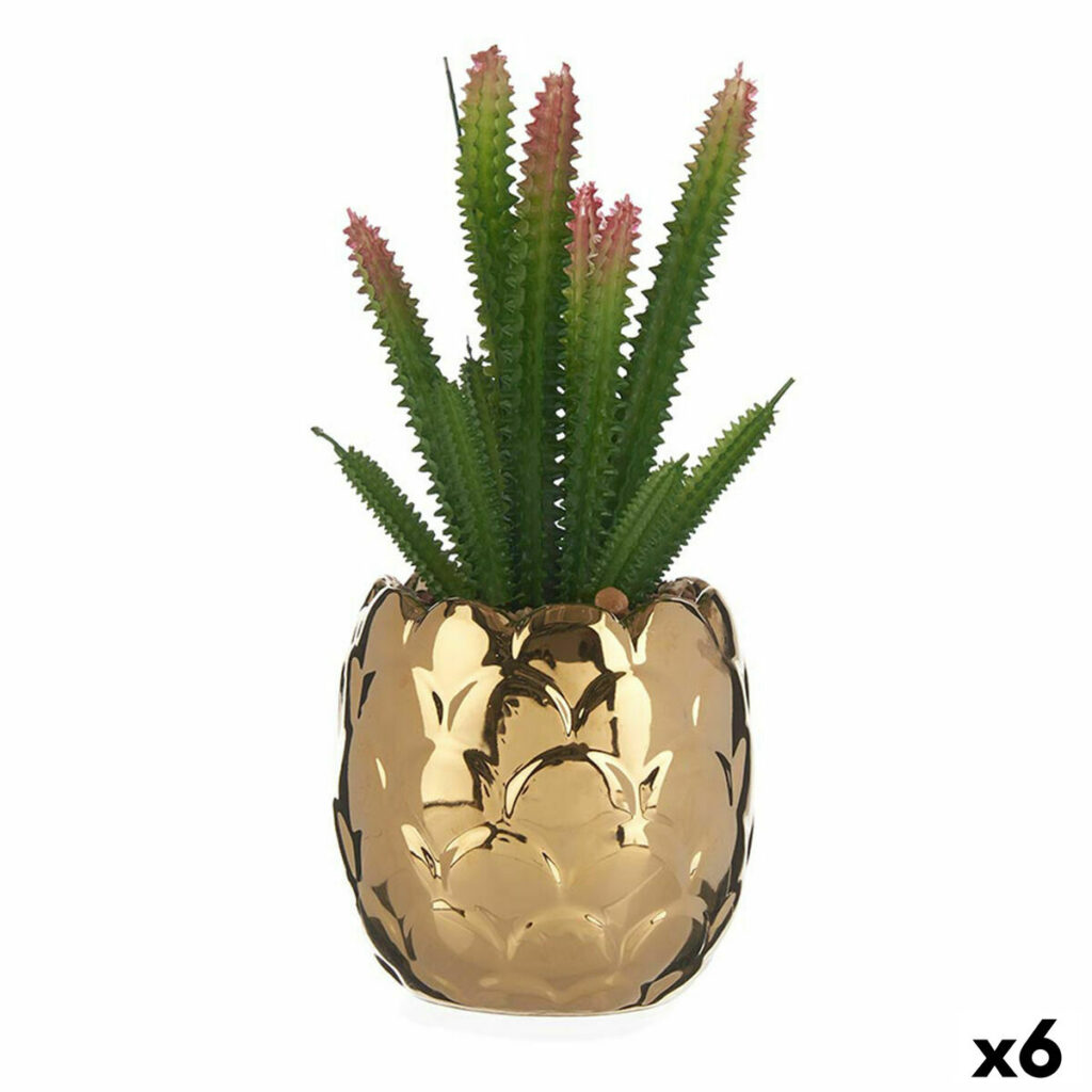 Διακοσμητικό Φυτό Κεραμικά Χρυσό Κάκτος Πράσινο Πλαστική ύλη x6