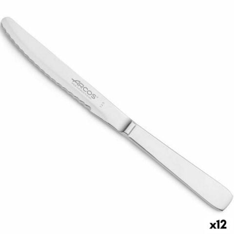 Μαχαίρι για Επιδόρπιο Arcos Monoblock Ασημί 12