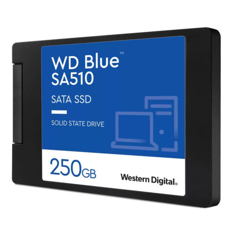Σκληρός δίσκος Western Digital Blue 250 GB 2