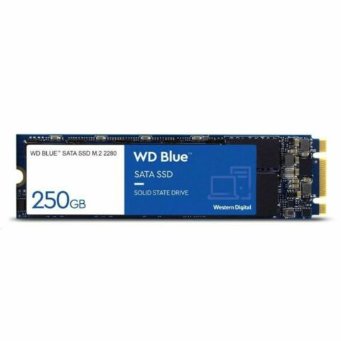 Σκληρός δίσκος Western Digital SA510 500 GB SSD 500GB
