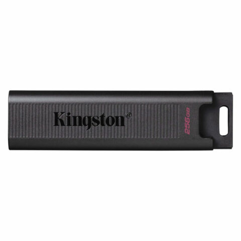 Στικάκι USB Kingston DTMAX/256GB Μαύρο 256 GB