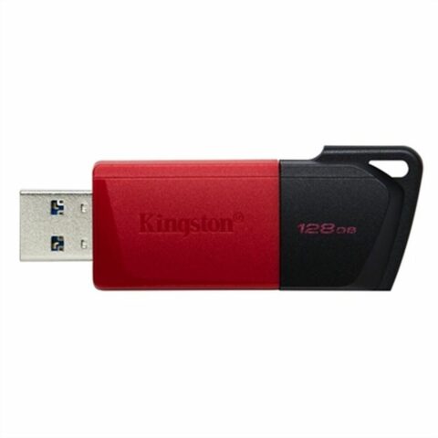 Στικάκι USB Kingston DTXM/128GB 128 GB Κόκκινο