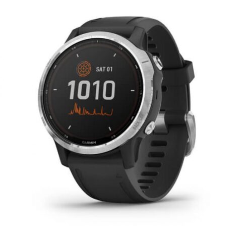 Smartwatch GARMIN FENIX 6S 1