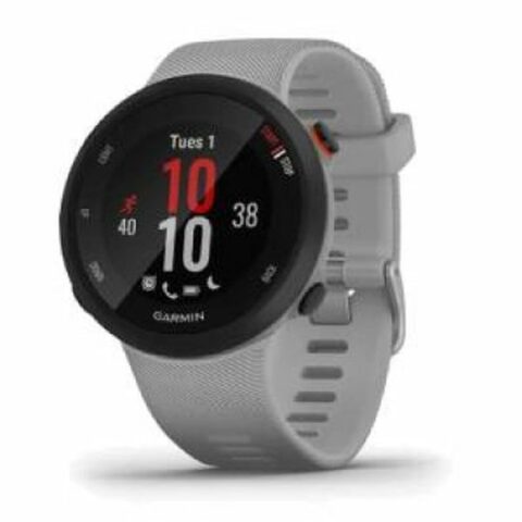 Smartwatch GARMIN Forerunner 45 Plus Γκρι 1