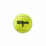 Mπαλακια Tεννις Wilson Roland Garros All Court Κίτρινο