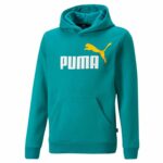 Ανδρικό Φούτερ με Κουκούλα Puma Essentials+ Two-T Κυανό