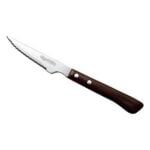 Μαχαίρι για Μπριζόλες Quttin QT-710010 ABS 21