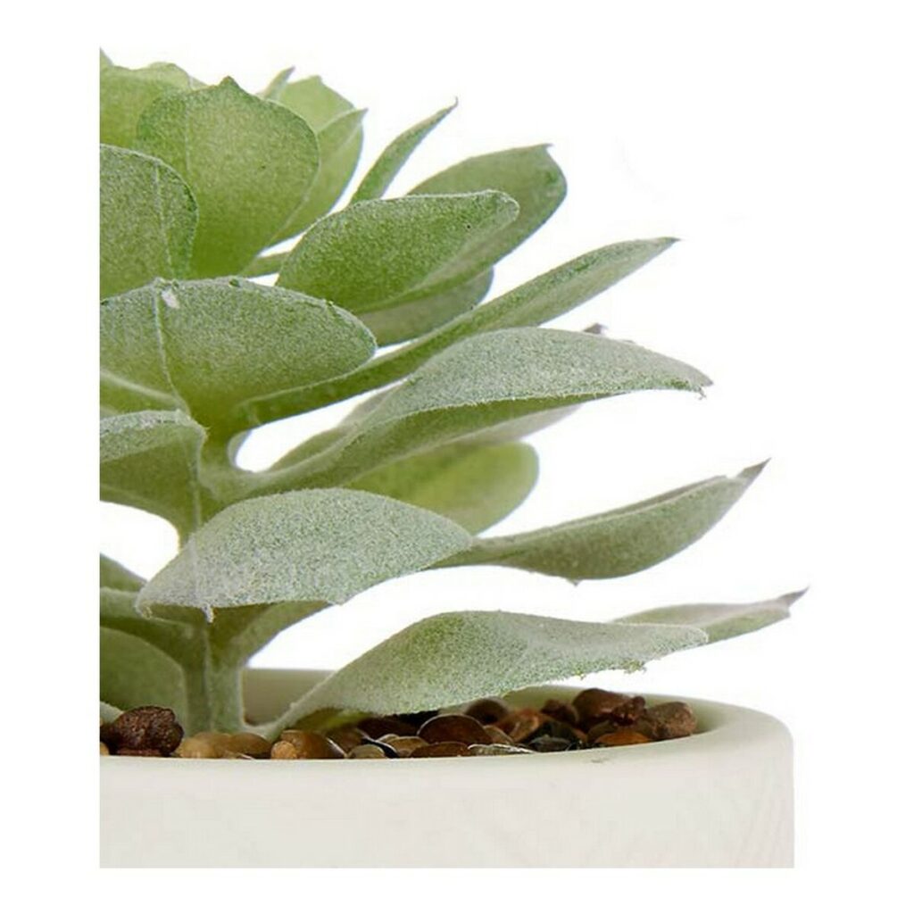 Διακοσμητικό Φυτό Λευκό Πράσινο Πλαστική ύλη