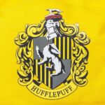 Σακίδιο Πλάτης Casual Harry Potter Hufflepuff 30 x 41 x 14 cm Κίτρινο