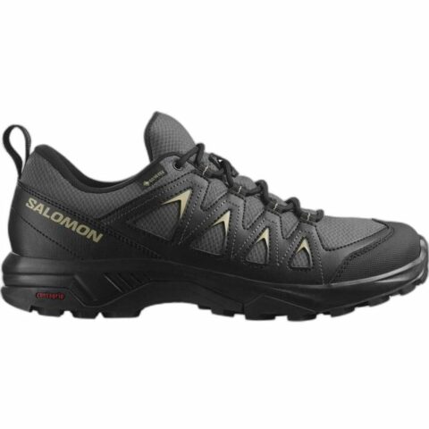 Αθλητικα παπουτσια Salomon X Braze GORE-TEX Βουνό Σκούρο γκρίζο Άντρες