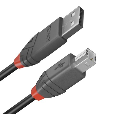 Καλώδιο USB A σε USB B LINDY 36670 20 cm Μαύρο