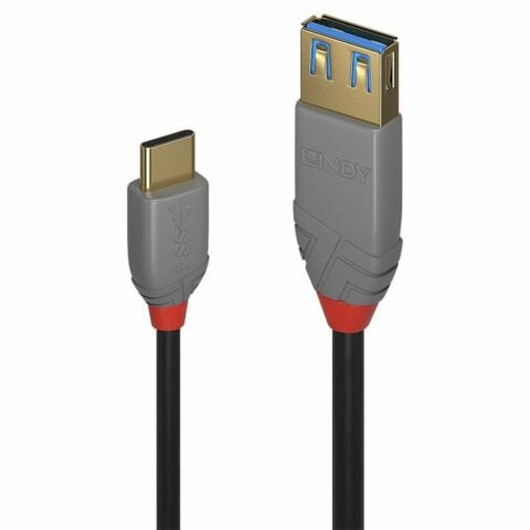 Αντάπτορας USB C σε DisplayPort LINDY 36895 150 cm Μαύρο