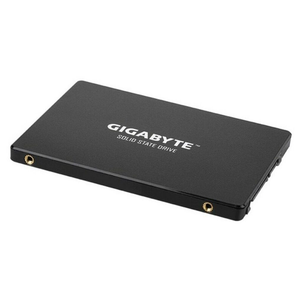 Σκληρός δίσκος Gigabyte GP-GSTFS3 2