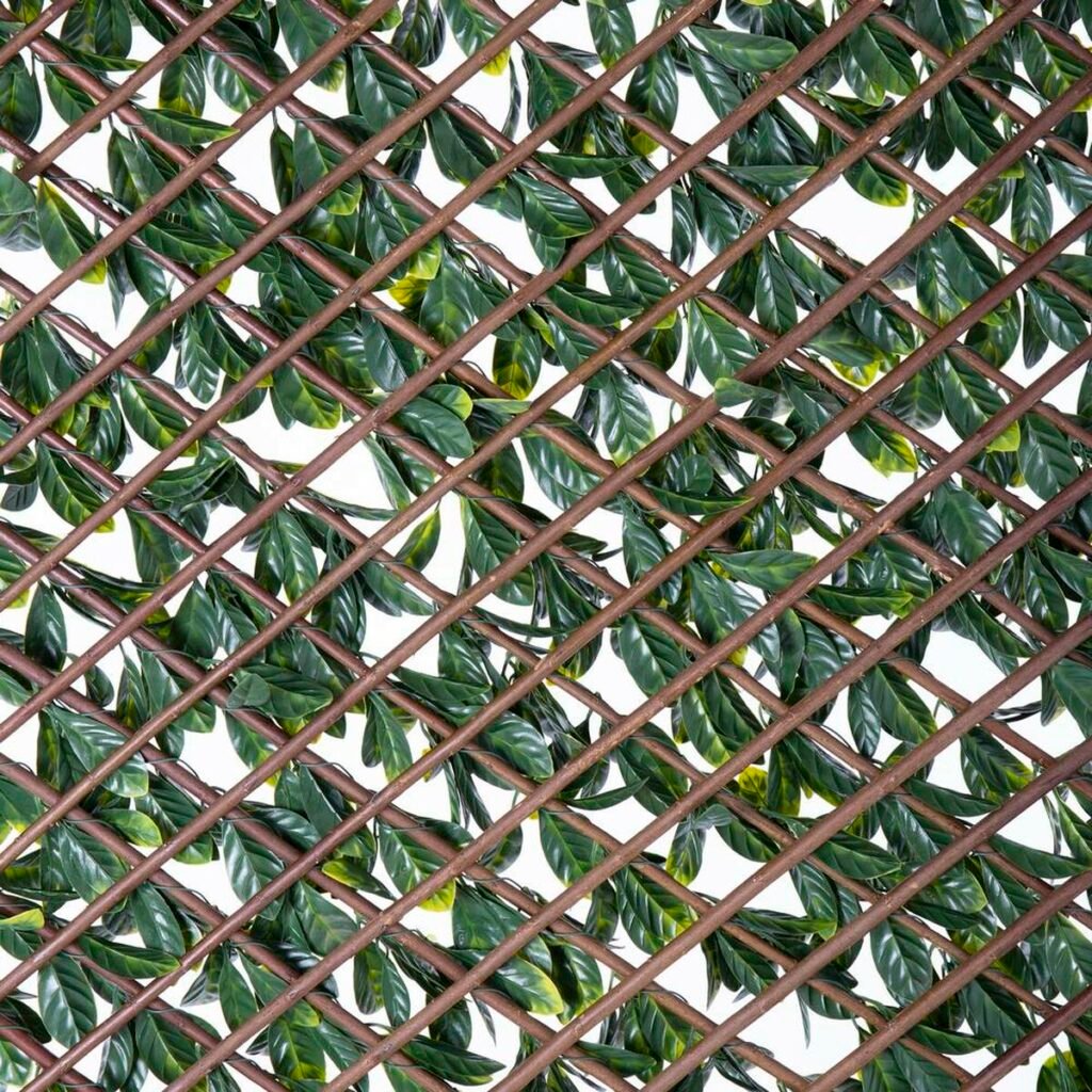Κόμπος πλεξίδας Natural Laurel λυγαριά Διακοσμητική κανάτα 2 x 200 x 100 cm