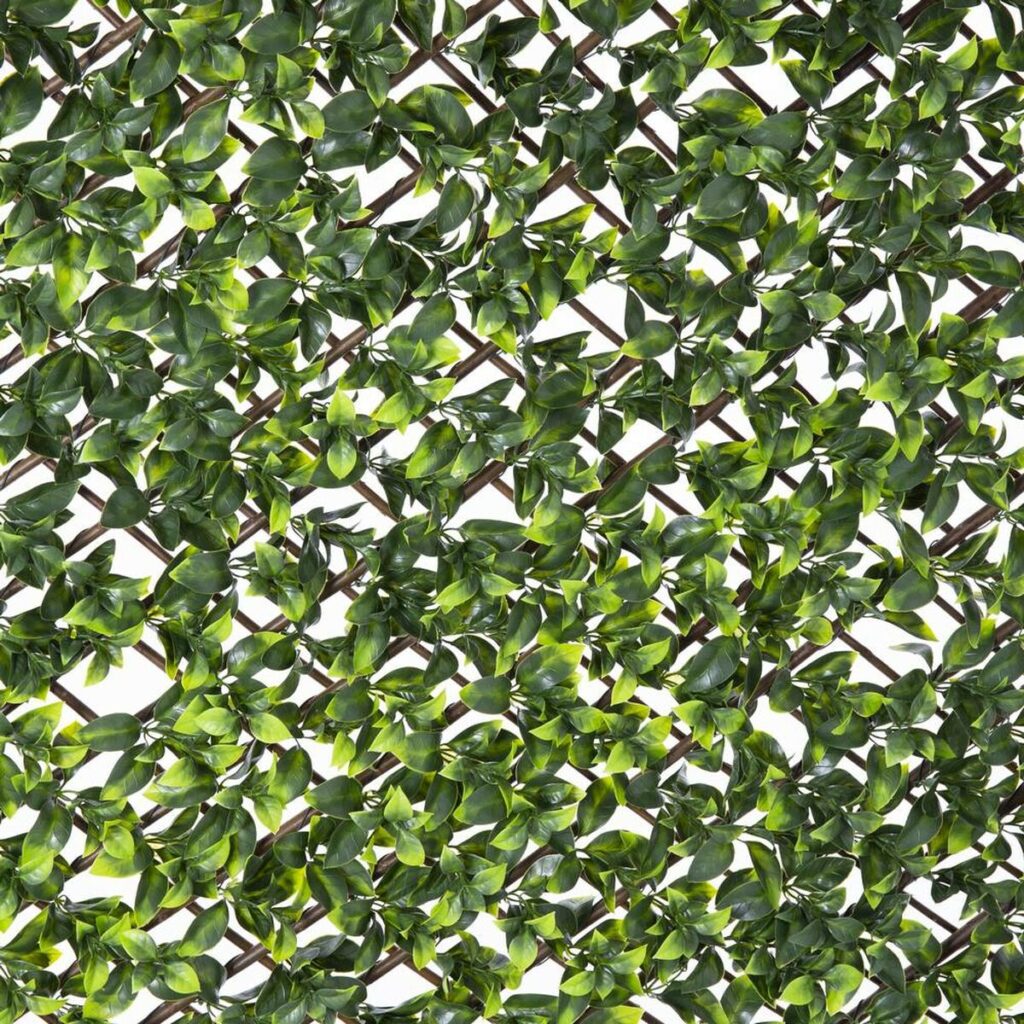 Κόμπος πλεξίδας Natural Κισσός λυγαριά Διακοσμητική κανάτα 2 x 200 x 100 cm