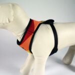 Λουρί Σκύλου Disney Πολύχρωμο XS/S 100 % πολυεστέρας