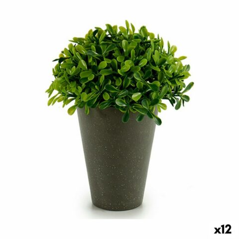 Διακοσμητικό Φυτό Πλαστική ύλη 13 x 16 x 13 cm Πράσινο Γκρι (12 Μονάδες)