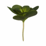 Διακοσμητικό Φυτό Φύλλα Στρογγυλή Πλαστική ύλη 18 x 23 x 18 cm (x6)