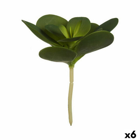 Διακοσμητικό Φυτό Φύλλα Στρογγυλή Πλαστική ύλη 18 x 23 x 18 cm (x6)