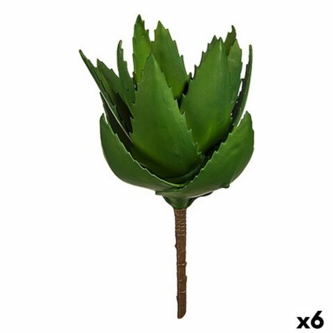 Διακοσμητικό Φυτό Αλόη Βέρα 13 x 24