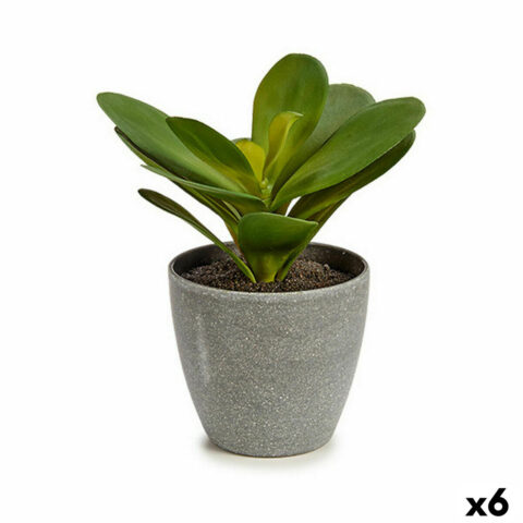 Διακοσμητικό Φυτό Φύλλα Στρογγυλή Πλαστική ύλη 11 x 15 x 11 cm (x6)