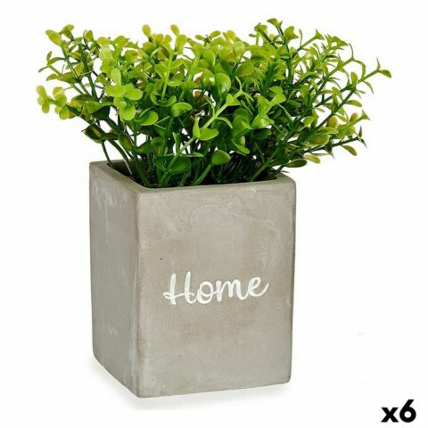 Διακοσμητικό Φυτό Home Γκρι Τσιμέντο Πράσινο Πλαστική ύλη 13 x 20 x 13 cm (x6)