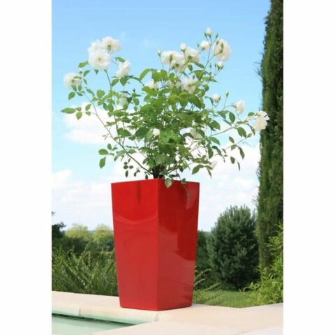 Βάζο Λουλουδιών Riviera Κόκκινο Πλαστική ύλη Τετράγωνο Στρόγγυλο Σύγχρονη 29 x 29 x 52 cm 29 x 29 cm
